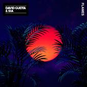 David Guetta & Sia-Flames David Guetta & Sia-Flames