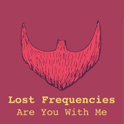 foto Lost Frequencies