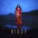 Birdy-Keeping Your Head Up
