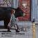 Red Hot Chili Peppers-Dark Necessities