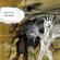 Radiohead-Knives Out - EP