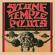 Stone Temple Pilots-Live: The Centrum, Worcester, MA 22 Aug  94 (Remastered)