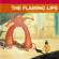 The Flaming Lips-Yoshimi Battles the Pink Robots