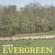 Calcutta-Evergreen