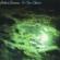 Peter Green-In the Skies