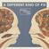 Bombay Bicycle Club-A Different Kind of Fix