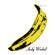 The Velvet Underground & Nico-The Velvet Underground & Nico (45th Anniversary Edition)