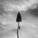 Manchester Orchestra-The Silence