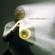 Terence Blanchard-Flow