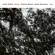 Colin Vallon, Patrice Moret & Julian Sartorius-Danse