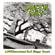 Green Day-1039 / Smoothed out Slappy Hours
