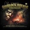 Sherlock Holmes Chronicles-Folge 88: Wisteria Lodge