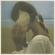 Allah-Las-Allah-Las
