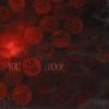 Morgan Wallen-You Proof