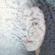 Chrystabell & David Lynch-Somewhere In the Nowhere - EP