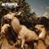 Interpol-Our Love To Admire