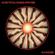 Len Vitz & Charlie Iapicone-Playhouse