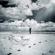 Dhafer Youssef-Birds Requiem