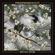 Phosphorescent-Revelator