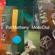 Pat Metheny-MoonDial