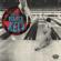 The Black Keys-Ohio Players (Trophy Edition)