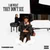 Yungeen Ace-I Am What They Don t See