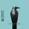 RAF Camora-FOREVER