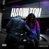 La Rvfleuze-Lewis Hamilton