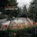 Tania Giannouli Trio-In Fading Light