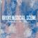 Broken Social Scene-Remember The Humans