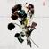 Shinedown-EI8HT