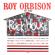 Roy Orbison-Ooby Dooby (feat. The Teen Kings)
