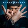 Olexesh-Augen Husky 3