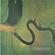 Dead Can Dance-The Serpent’s Egg (Remastered)