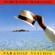 Torcuato Mariano-I Can t Help It