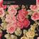 Mark Lanegan Band-Blues Funeral