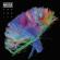 Muse-Madness