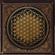 Bring Me The Horizon-Sempiternal
