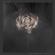 Editors-The Weight of Your Love (Deluxe Version)