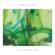 James Ellis Ford-Lost In Another World