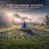 The Hunger Games & The Smashing Pumpkins-Black Stars