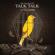 Talk Talk-Such a Shame