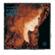 Bonnie Raitt-The Best of Bonnie Raitt On Capitol 1989-2003