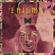 Enigma-Love Sensuality Devotion: The Remix Collection