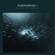 Jody Wisternoff & James Grant-Anjunadeep 05 (Unmixed & Dj Ready)