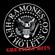 Ramones-Sheena Is a Punk Rocker