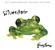 Silverchair-Frogstomp (20th Anniversary Deluxe Edition)