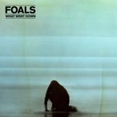 hit download What Went Down    Foals