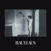 hit download In the Flat Field    Bauhaus