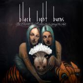 hit download The Moment You Realize You re Going to Fall    Black Light Burns